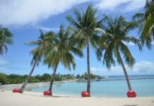 НОМХОН ДӨЛГӨӨН ДАЛАЙ 10 өдөр БЭЭЖИНгээр дамжин явах хямд хувилбар Сэбү аралд